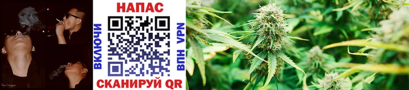Конопля Ganja Болгар